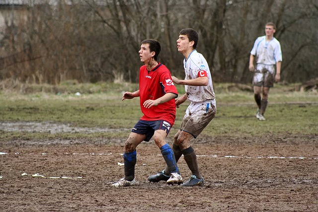 这一盛誉 这一盛誉