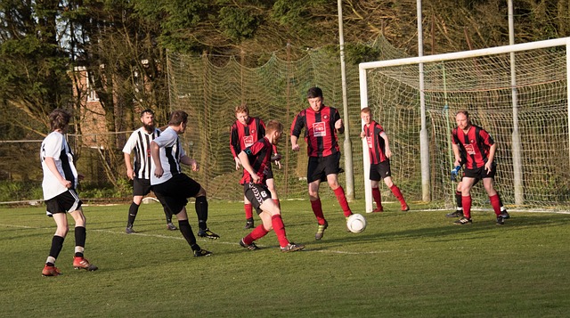 这一案例为 这一案例为