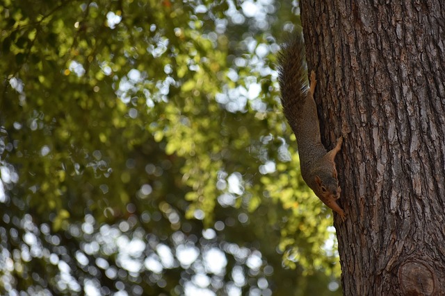 這除了是一 這除了是一