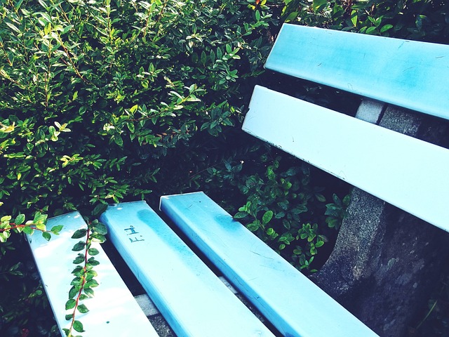 开场不久 开场不久