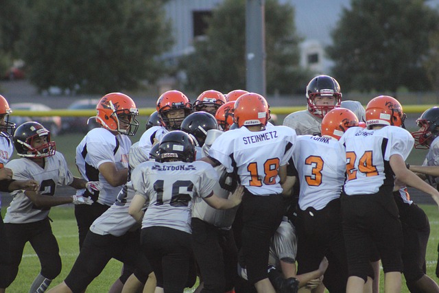 这无疑成为 这无疑成为