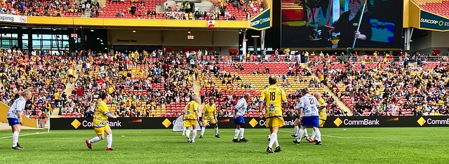 皮特南斯的 皮特南斯的