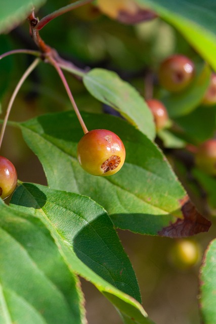 约与实用 约与实用