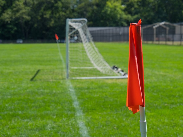 了稳中求胜 了稳中求胜