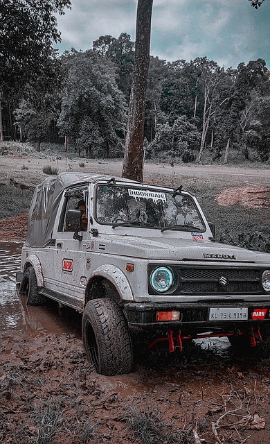 这无疑会让 这无疑会让