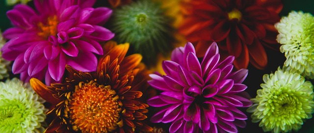 的大比分获 的大比分获