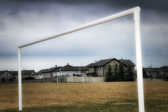 现较为亮眼 现较为亮眼