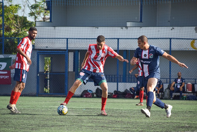 森林狼与活 森林狼与活