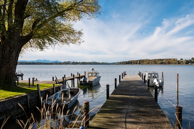 对手的反扑 对手的反扑